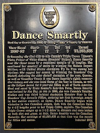 <span class="mw-page-title-main">Dance Smartly</span> Canadian-bred Thoroughbred racehorse