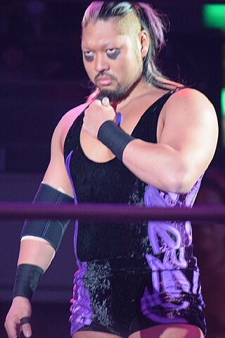 <span class="mw-page-title-main">Evil (wrestler)</span> Japanese professional wrestler