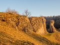 * Nomination Owls rock just befor sunset near Tiefenellern in Franconian Switzerland --Ermell 14:12, 4 January 2017 (UTC) * Promotion  Support Good quality.--Famberhorst 16:15, 4 January 2017 (UTC)