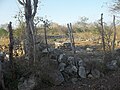 Hoboyná, Yucatán.