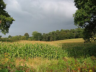 <span class="mw-page-title-main">Hunsterson</span> Human settlement in England