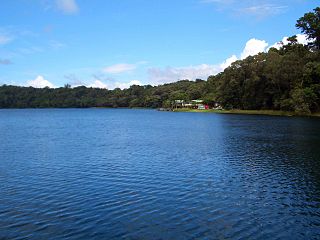 <span class="mw-page-title-main">Lake Barrine</span> Volcanic crater lake in Queensland, Australia