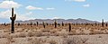 Parc national Los Cardones