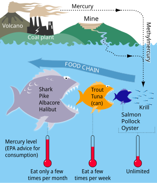 <span class="mw-page-title-main">Mercury in fish</span>