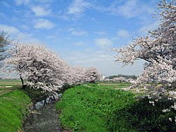 沼端橋付近の姫宮落川