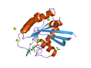 2cl0: CRYSTAL STRUCTURE ANALYSIS OF A FLUORESCENT FORM OF H-RAS P21 IN COMPLEX WITH GPPNHP