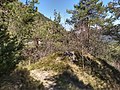 Monte Camiolo di Cima, sentiero della Costa delle Ombrie