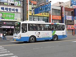 신안여객 1655