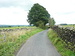 Tod Holes Lane at Small Gill,Wigglesworth - geograph.org.uk - 5508820.jpg