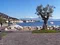 Panorama do Monte Baldo