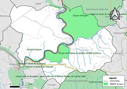 Carte des ZNIEFF de type 1 sur la commune.