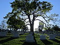 Arlington National Cemetery (2013)