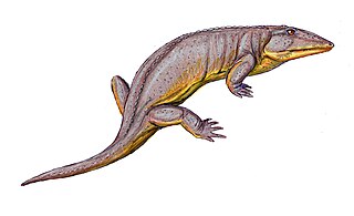 <i>Axitectum</i> Extinct genus of tetrapodomorphs