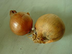 Yellow Onion