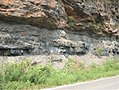 Image 12Bituminous coal seam in southwestern West Virginia (from West Virginia)