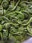 New Brunswick fiddleheads