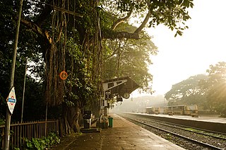 <span class="mw-page-title-main">Nilambur–Shoranur line</span> Railway line in India