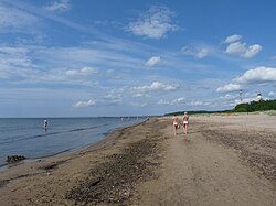 Narva-Jõesuun hiekkarantaa.