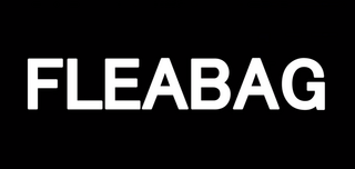 <i>Fleabag</i> British black comedy television series