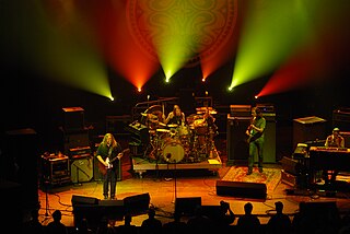 <span class="mw-page-title-main">Gov't Mule</span> American southern rock jam band