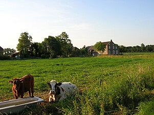 Huis Bekestein