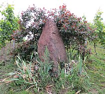 Der Menhir von Ortenberg