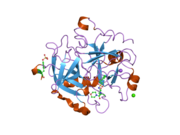 2jh6: HUMAN THROMBIN HIRUGEN INHIBITOR COMPLEX.