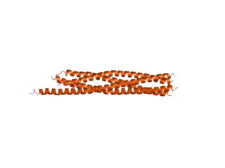 <span class="mw-page-title-main">VTI1A</span> Protein-coding gene in the species Homo sapiens