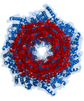 Cartoon representation of a proteasome