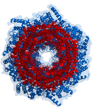 <span class="mw-page-title-main">Proteasome</span> Protein complexes which degrade unnecessary or damaged proteins by proteolysis