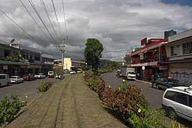 Sigatoka