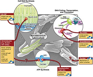 <span class="mw-page-title-main">Management of tuberculosis</span> Disease treatment