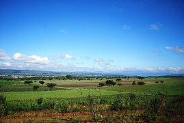 Vaye de Tulancingo Huasca