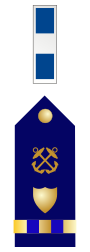 U.S. Coast Guard chief warrant officer 3 rank insignia