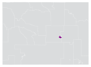 <span class="mw-page-title-main">Wyoming's 29th State Senate district</span> American legislative district