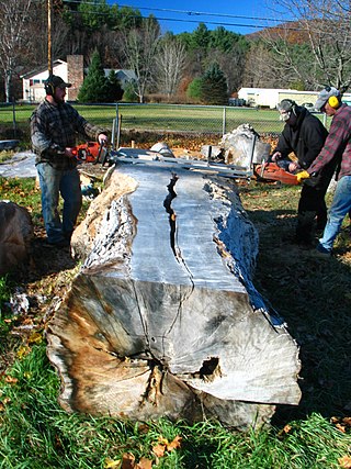 <span class="mw-page-title-main">Chainsaw mill</span> Type of sawmill incorporating a chainsaw