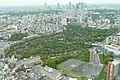 青山霊園 Aoyama Cemetery