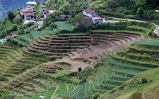 <span class="mw-page-title-main">Buguias</span> Municipality in Benguet, Philippines