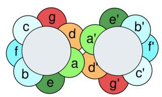 <span class="mw-page-title-main">Leucine zipper</span> DNA-binding structural motif