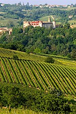 Il castello di Costigliole d'Asti