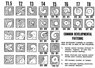 <span class="mw-page-title-main">Dvorak technique</span> Subjective technique to estimate tropical cyclone intensity