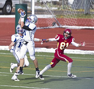 <span class="mw-page-title-main">Interception</span> American football play in which a defensive player catches a pass, resulting in a turnover