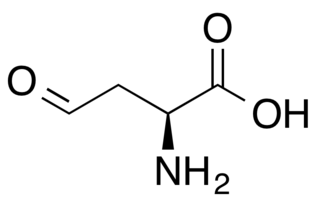 <small>L</small>-Aspartic-4-semialdehyde Chemical compound