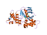 2bbo: Human NBD1 with Phe508