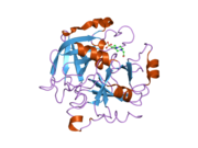 2gp9: Crystal structure of the slow form of thrombin in a self-inhibited conformation