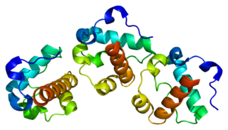 <span class="mw-page-title-main">ETV6</span> Protein-coding gene in the species Homo sapiens