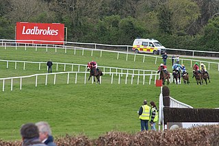 <span class="mw-page-title-main">Punchestown Racecourse</span> Horse racing venue in the Republic of Ireland