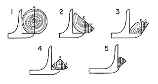 <span class="mw-page-title-main">Quarter sawing</span> Woodworking process