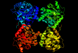 <span class="mw-page-title-main">Threonine ammonia-lyase</span>