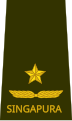 Brigadier general (Singapore Army)[43]